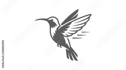 Fotografie Hummingbird in motion flying fast.