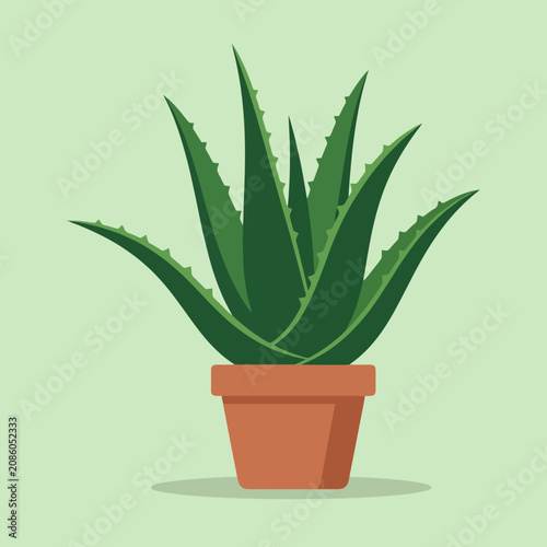 A green succulent plant sits inside a simple terracotta pot