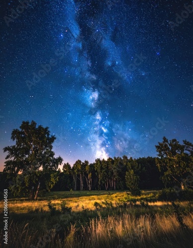 A stunning view of the Milky Way galaxy arches over a serene meadow and forest under a clear night sky.