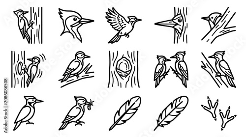 Woodpecker Bird Icons Set: Nature, Wildlife, Forest Life