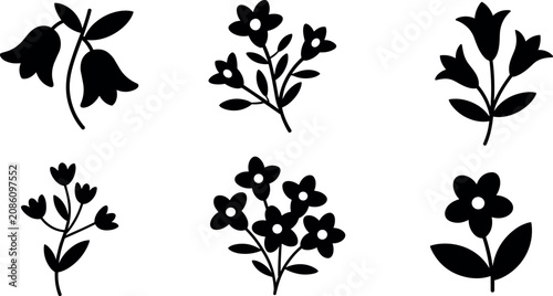 Bild auf Leinwand Black flower silhouettes collection with botanical floral elements and spring bl