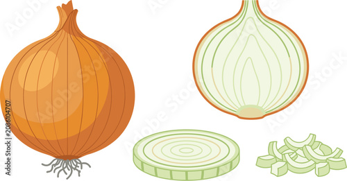 Bild auf Leinwand Fresh Yellow Onion Vegetable Set with Whole Bulb Half Cut Cross Section Ring and