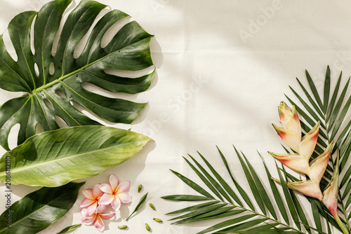 Tropical Flatlay with Monstera Leaves Heliconia and Plumeria Flowers