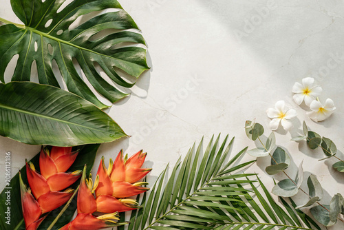 Tropical Flatlay with Monstera Leaves White Plumeria and Eucalyptus on Marble