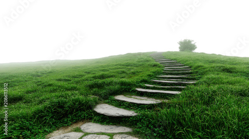 Scenic green grassy hillside with natural stone staircase leading upward through peaceful landscape, isolated cutout for creative design on White background