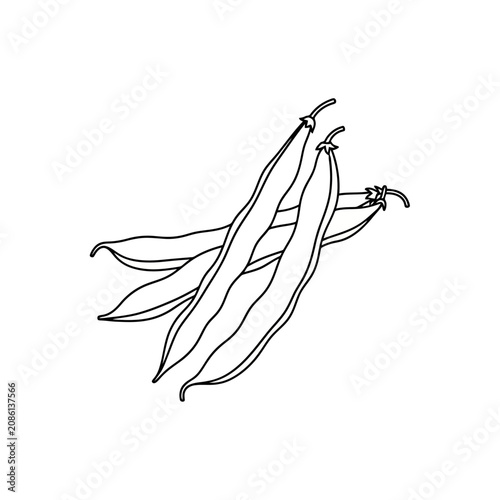 Three raw green beans harvest pile sketch displayed for healthy eating menus or agricultural organic farm produce themes showing fresh legumes hand drawn style ready for culinary preparation