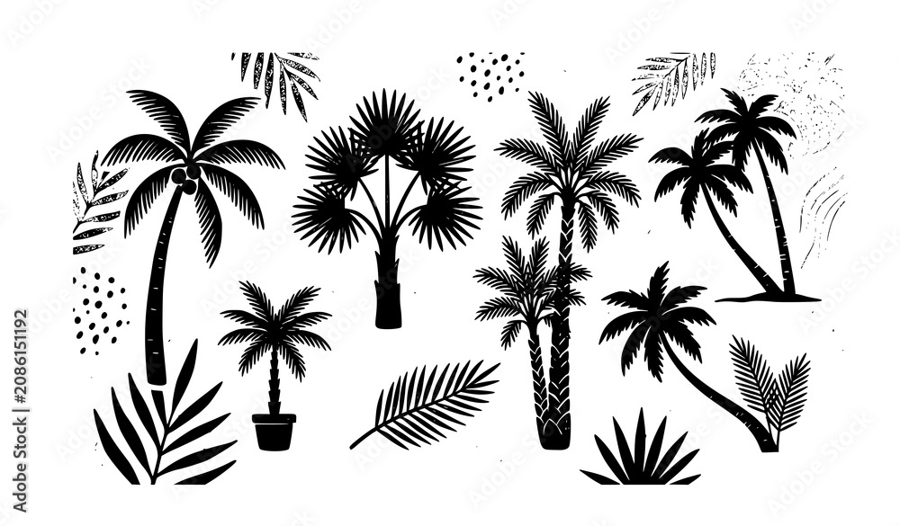 Fototapeta premium Tropical Palm Tree Silhouette Set with Coconut and Beach Palms Isolated on White