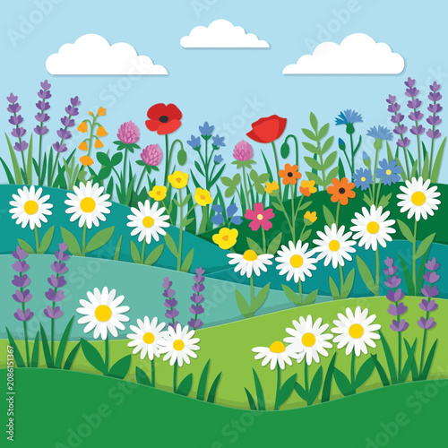 Vibrant meadow with wildflowers, daisies, poppies, lavender, and clouds.