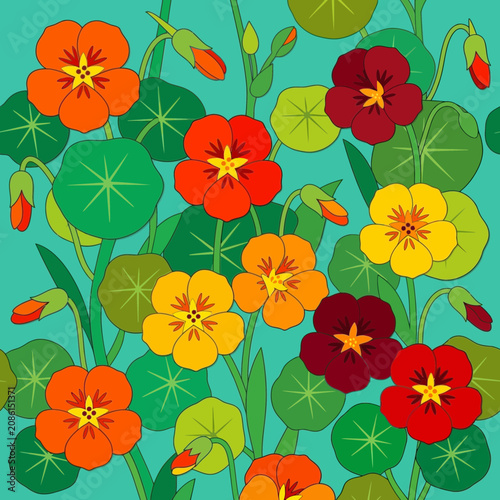 Vibrant Nasturtium Flower Pattern on Teal Background