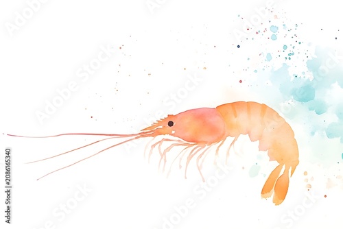 Watercolor shrimp with light splash