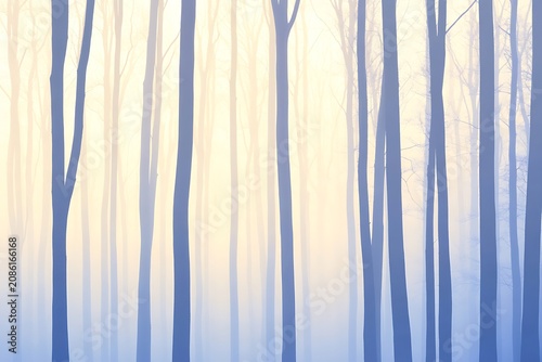 Serene winter forest