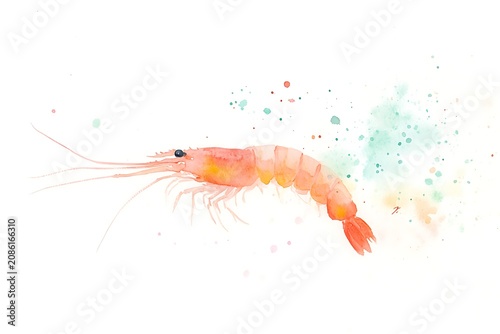 Vibrant watercolor shrimp