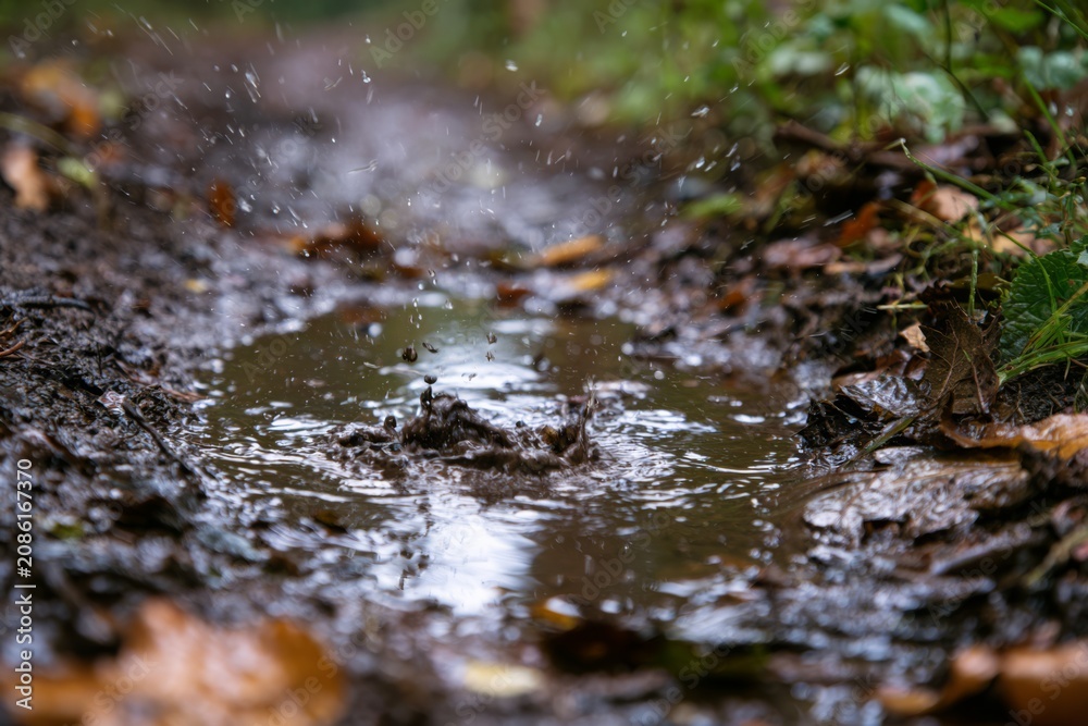 Fototapeta premium Raindrop splashing into muddy puddle
