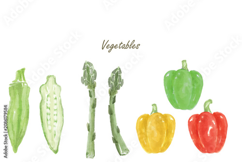 Set of vegetables colorful of freshly picked summer ocra, aspatagus, and colorful bell pepper isolated on a white background.