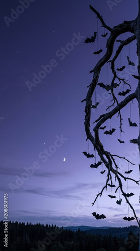 Silhouette of black bat decorations hanging from a gnarled dead tree branch against a purple twilight sky with a crescent moon, stars, and a distant pine forest landscape at dusk.