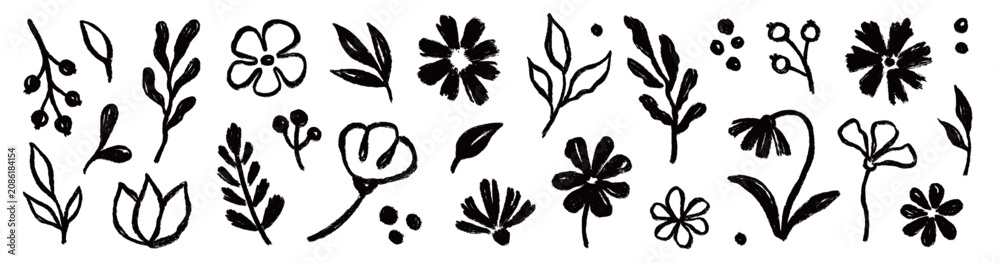 Fototapeta premium Flower brush leaf floral set. Hand drawn flower brush leaf paint stroke sketch doodle nature. Botanical plant spring daisy poppy leaves herb summer organic background. Vector illustration