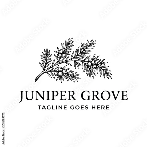 Juniper Grove branch berry pine needle plant nature for beverage gin boutique spa kitchen distillery logo design