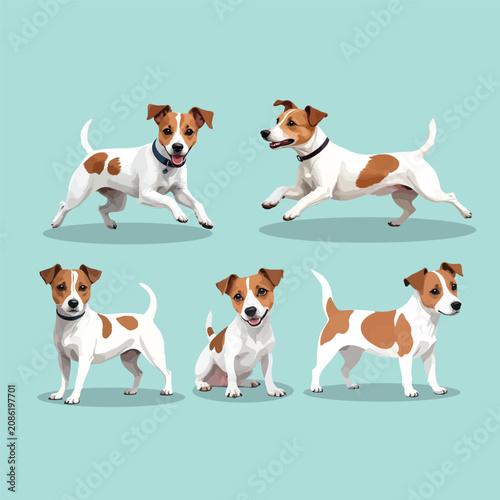 Quadro su tela Cute Jack Russell Terrier Dog Poses Set Running Sitting Standing Flat Vector Ill
