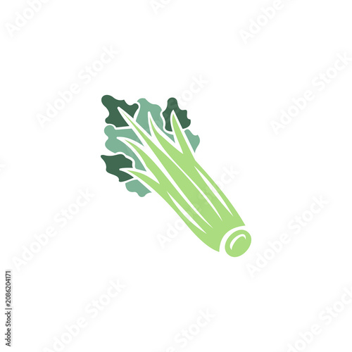 A stylized, modern vector illustration of a celery stalk with leafy tops, representing health, fresh vegetables, nutrition, and organic cooking.
