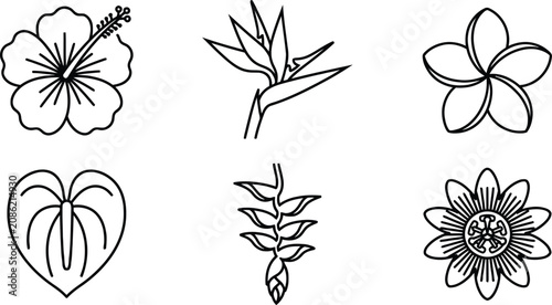 Foto Set of minimalist tropical flower line art icons featuring exotic plants like hi