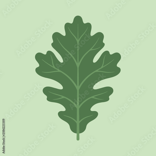 Minimalist green oak leaf illustration on a pale green background