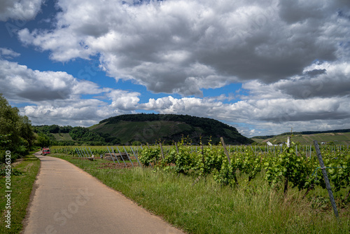 an der Mosel entdeckten wir dieses stille Fenster zur Landschaft. Der Fluss glitzerte zwischen sattem Grün, die Hügel schienen sich schützend um das Tal zu legen und für einen Moment war alles ganz ru