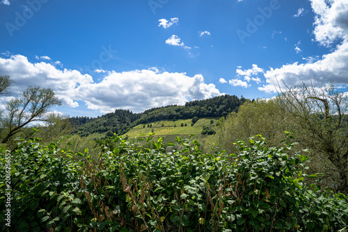 an der Mosel entdeckten wir dieses stille Fenster zur Landschaft. Der Fluss glitzerte zwischen sattem Grün, die Hügel schienen sich schützend um das Tal zu legen und für einen Moment war alles ganz ru