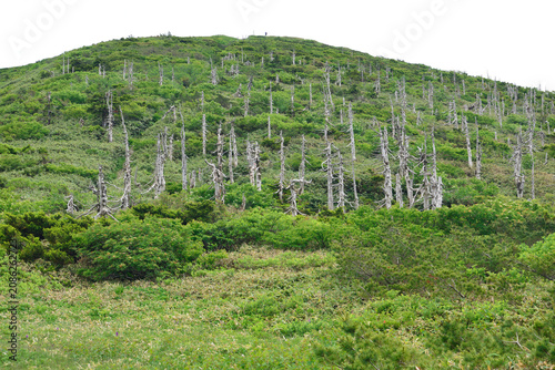 夏の山形蔵王