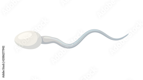 Foto Single White Human Sperm Cell With Gray Tail Icon