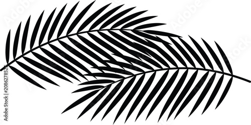 Fényképezés Black and white radial lines pattern with sharp edges and varying thickness