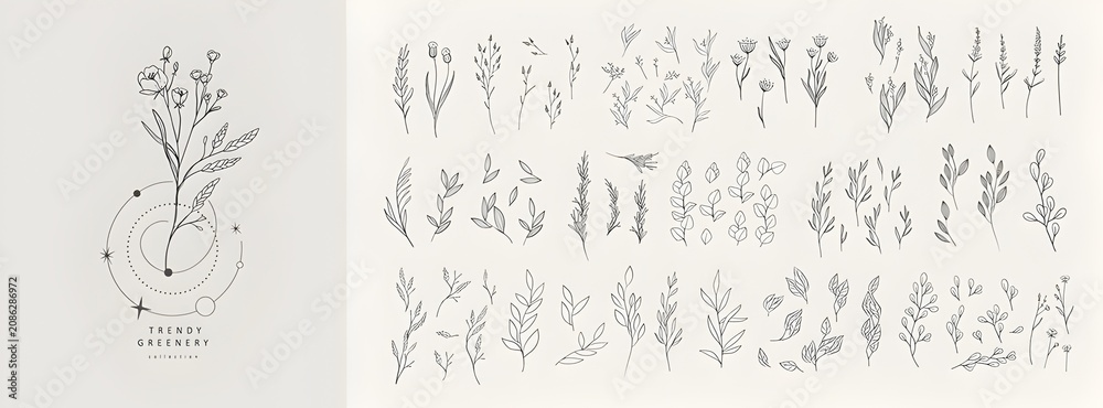 Obraz premium Minimalist floral collection with botanical elements isolated on a soft neutral background for elegant stationery and wedding design.