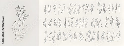Minimalist floral collection with botanical elements isolated on a soft neutral background for elegant stationery and wedding design.