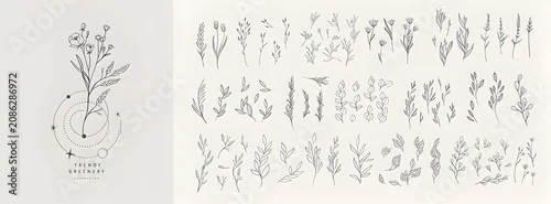 Panel kuchenny z motywem Minimalist floral collection with botanical elements isolated on a soft neutral background for elegant stationery and wedding design.