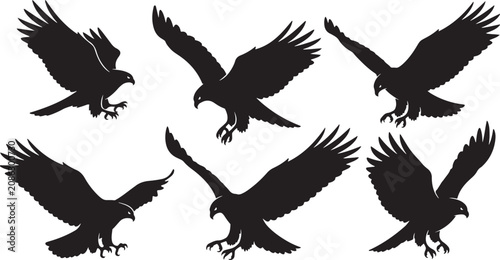 Konstfotografi Set of six eagles illustration, various poses predatory bird silhouette on checkered background isolated