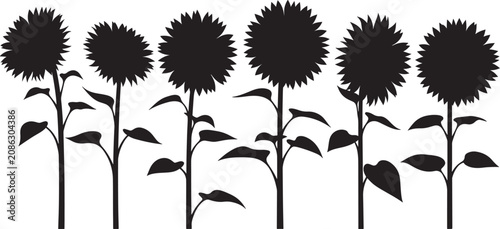 Sunflowers silhouette collection blooming field plants high quality vector silhouette illustration design pack.