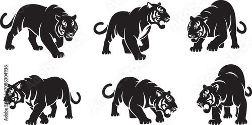 Obraz na płótnie Tiger vector silhouette set showing wild animal poses including walking stalking and prowling predator action