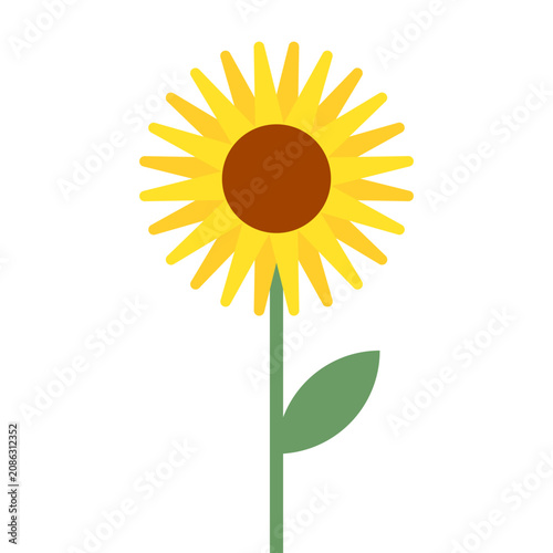 Cute sunflower vector illustration, yellow summer flower cartoon character isolated, simple helianthus floral icon