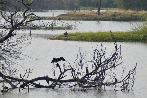 fishing on the lake
