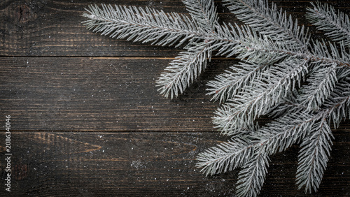 Snow covered pine tree branch on a dark rustic wooden background for Christmas.