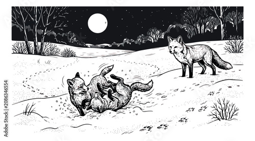 Photos Vintage woodcut style fox illustration, wild foxes playing in snow at night, bla