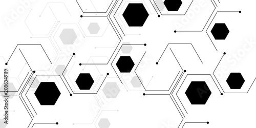 Abstract hexagonal pattern, modern technology background. Futuristic digital network connection, geometric honeycomb design. White and black vector illustration for science, data, and innovation.