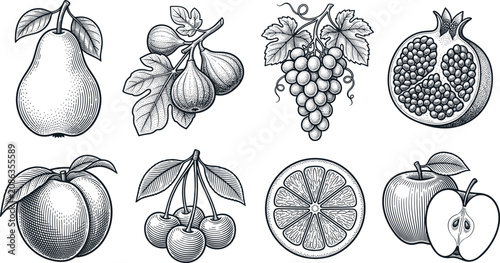 Canvastavla Victorian Botanical Fruit Engraving Collection with Antique Pear, Fig, Grape, Ci