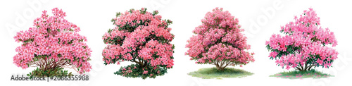 фотографія Four distinct azalea bushes flourishing with abundant pink blossoms and green fo