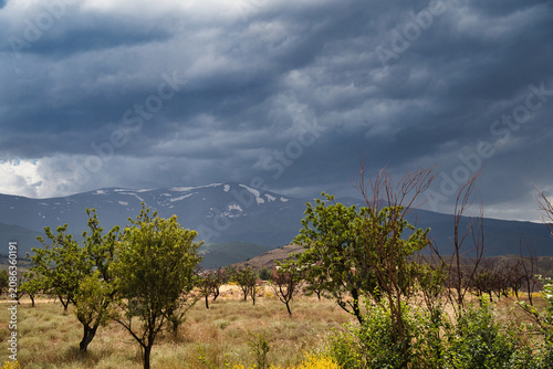 Dramatic clouds loom over distant snow-capped mountains. Trees stand in golden, dry grassland below. Dark sky hints at imminent rain or storm. Natural landscape evokes awe and quiet tension