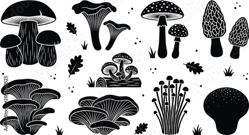 Schilderij op canvas Wild Forest Mushroom Silhouette Collection Featuring Edible and Wild Fungi Speci