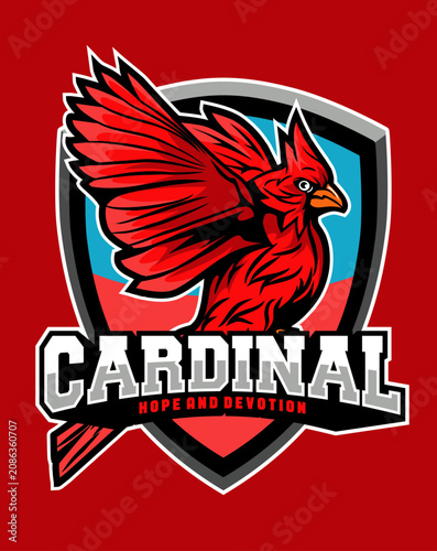 Cardinal Bird vector Illustration