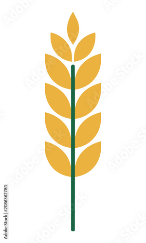 Minimalist stylized wheat stalk with symmetrical golden grain husks and a slender stem isolated on white background agriculture and organic food concept