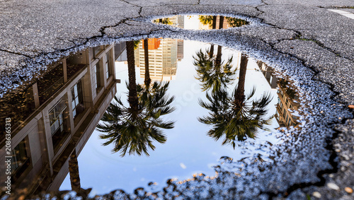 City reflection in puddle with palm trees and buildings