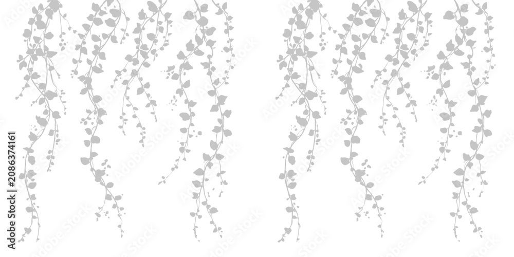 Obraz premium Hanging ivy vines silhouette illustration set against transparent background isolated for elegant vertical greenery decor.