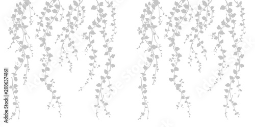 Bild auf Leinwand Hanging ivy vines silhouette illustration set against transparent background isolated for elegant vertical greenery decor